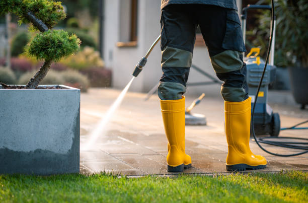 Best House Pressure Washing  in Healdsburg, CA